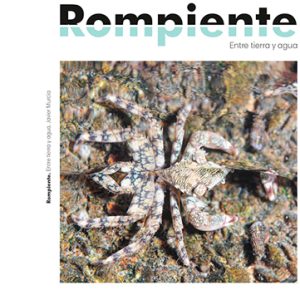 Rompiente